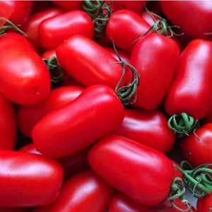 『古賀農園』のイタリアトマト<br />サンマルツァーノリゼルヴァのピザソース